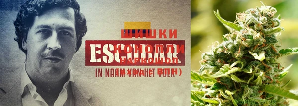 меф Алзамай