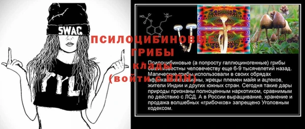 МДМА Алексеевка