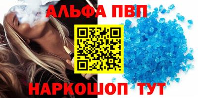 спайс Кингисепп