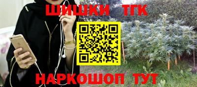 спайс Кингисепп