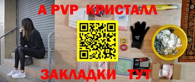спайс Кингисепп