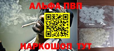 спайс Кингисепп