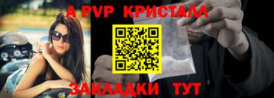 спайс Кингисепп