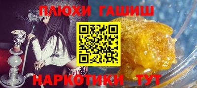 спайс Кингисепп