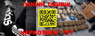 спайс Кингисепп