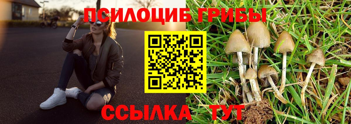 Галлюциногенные грибы ЛСД Старый Оскол