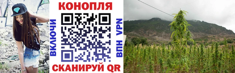 Бошки Шишки планчик Старый Оскол